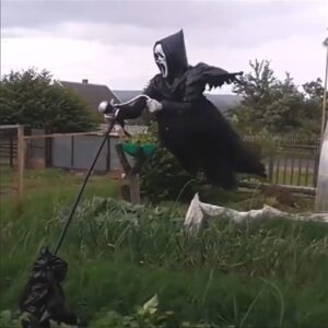 Scarecrow Decoration,DIY Ghostface Scarecrow,wonderful scarecrow,scarecrow,Screaming Scarecrow For Garden