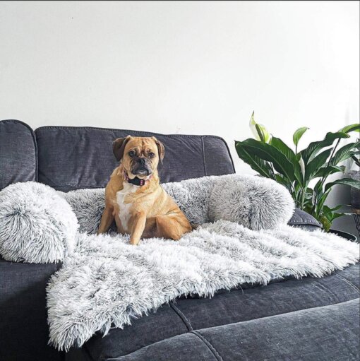 COZY BED OFFICIAL FURNITURE PROTECTOR CALMING BED - Image 6