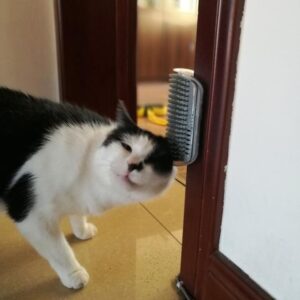 Cat Massage Brush