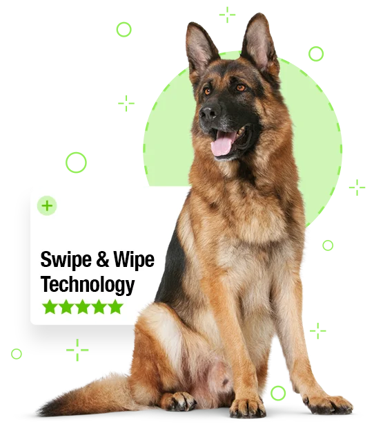 DeShedding Tool For Dogs