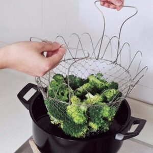Extendable Fry Basket