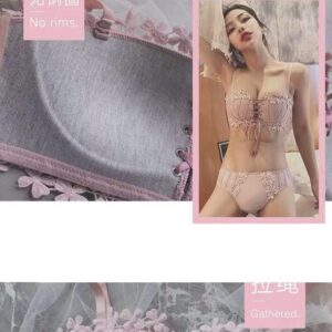 Floral Secrets Corset Floral Embroidery Bra