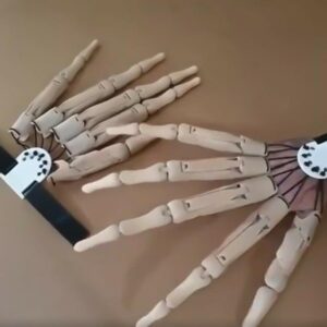 Halloween Articulated Finger Gloves