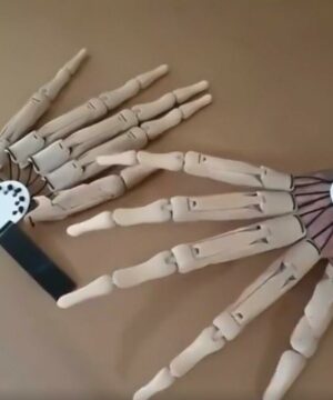 Halloween Articulated Finger Gloves