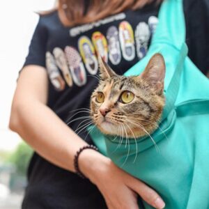 Pet Cat Carrier Pouch