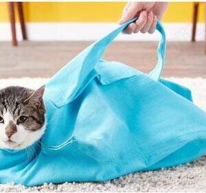 Pet Cat Carrier Pouch