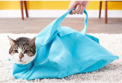 Pet Cat Carrier Pouch