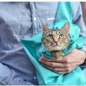 Pet Cat Carrier Pouch