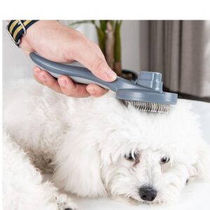 Pet Pumpkin Self Cleaning Brush