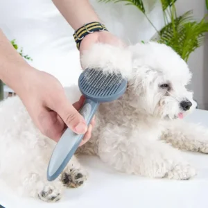 Pet Pumpkin Self Cleaning Brush