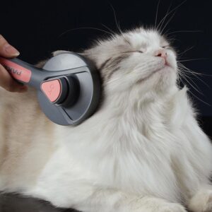 Pet Pumpkin Self Cleaning Brush