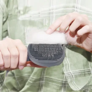 Pet Pumpkin Self Cleaning Brush