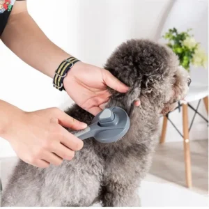 Pet Pumpkin Self Cleaning Brush