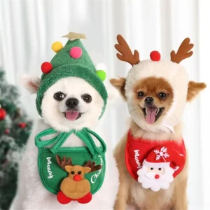 Pet Santa Christmas Hat Outfit