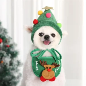 Pet Santa Christmas Hat Outfit