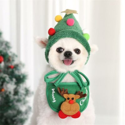 Pet Santa Christmas Hat Outfit