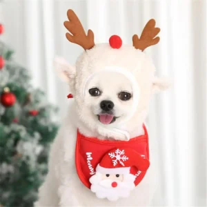 Pet Santa Christmas Hat Outfit