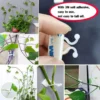 Plant Wall Climbing Fixing Clips