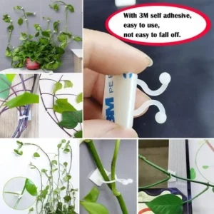 Plant Wall Climbing Fixing Clips