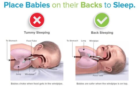 Baby Support Pillow