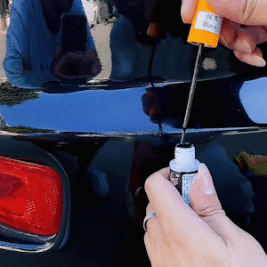 Car Touch-Up Painter