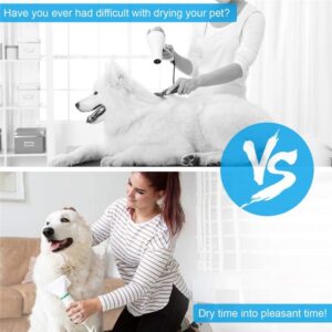 Pet Grooming Dryer Massage Dogs and Cats