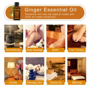 Belly Drainage Ginger Oil