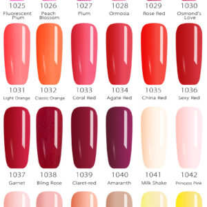 Complete Nail Polish Set