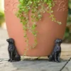 Labrador Retrievers Potty Feet