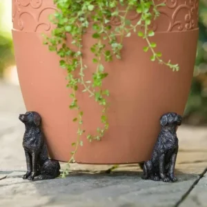 Labrador Retrievers Potty Feet