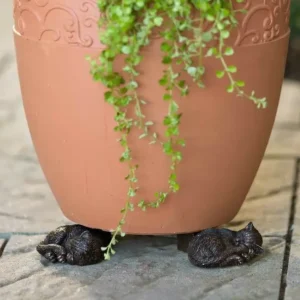 Labrador Retrievers Potty Feet