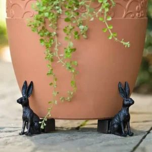 Labrador Retrievers Potty Feet