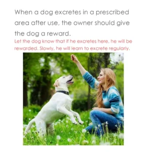 Pet Potty Here Training Spray