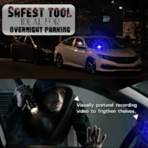 Anti-theft Car Flashing LED Fake Alarm