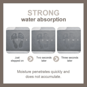 Diatom Super Absorbent Floor Mat