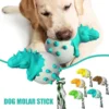 Dinosaur Eggs Dog Chew Toys