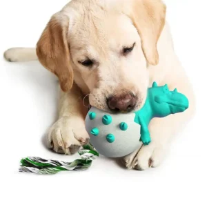 Dinosaur Eggs Dog Chew Toys