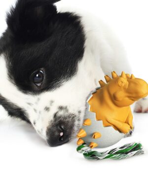 Dinosaur Eggs Dog Chew Toys