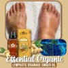 Essential Organic Lymphatic Drainage Ginger Oil