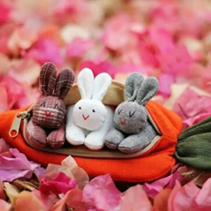 Hide-and-Seek Bunnies in Carrot Pouch