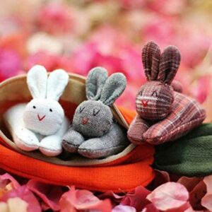 Hide-and-Seek Bunnies in Carrot Pouch