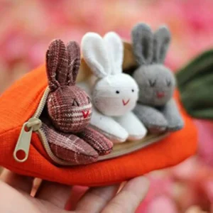 Hide-and-Seek Bunnies in Carrot Pouch