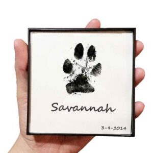 Paw Print Pad