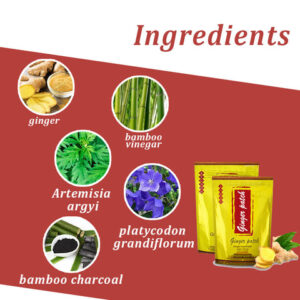 SwellDetox Ginger FootPatch