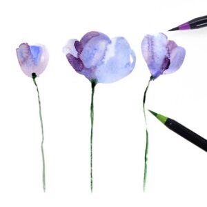 Watercolor Brush Pen Set