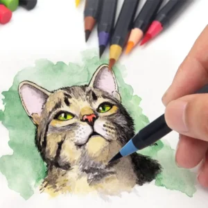 Watercolor Brush Pen Set