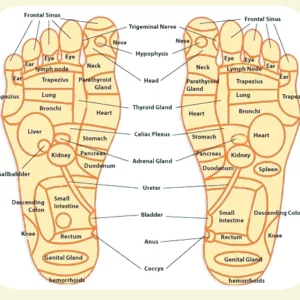 Bamboo Vinegar Purify Patches
