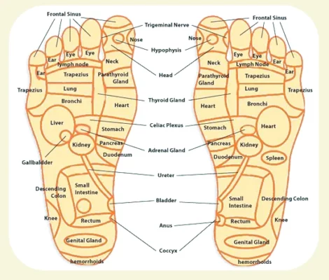 Bamboo Vinegar Purify Patches