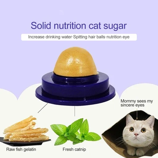 Katzen behandeln Snacks, die Zucker-Energie-Ball lecken