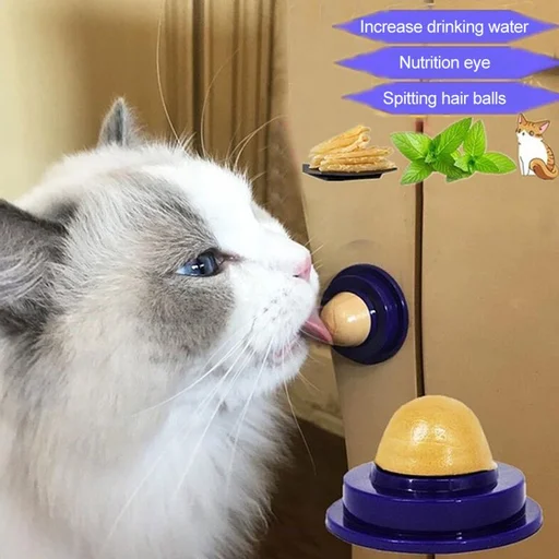 Коти пригощають закуски, облизуючи цукровий енергетичний м'яч